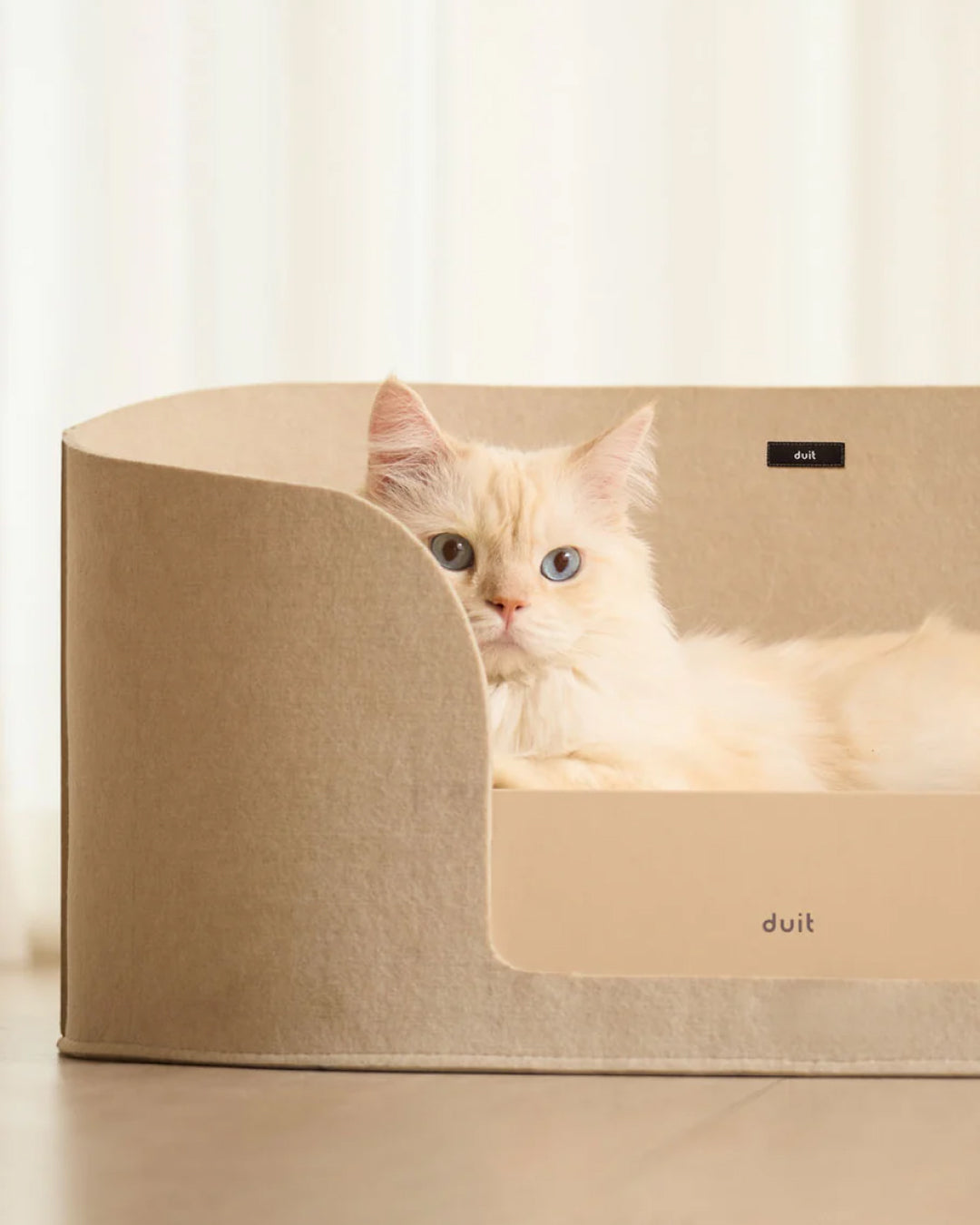 How Cats Like to Rest at Home: Open Cat Beds vs Cat Bed Caves