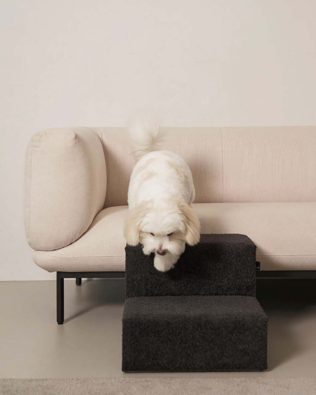 The Hidden Risks of Jumping: Why Small Dogs Need Support at Home