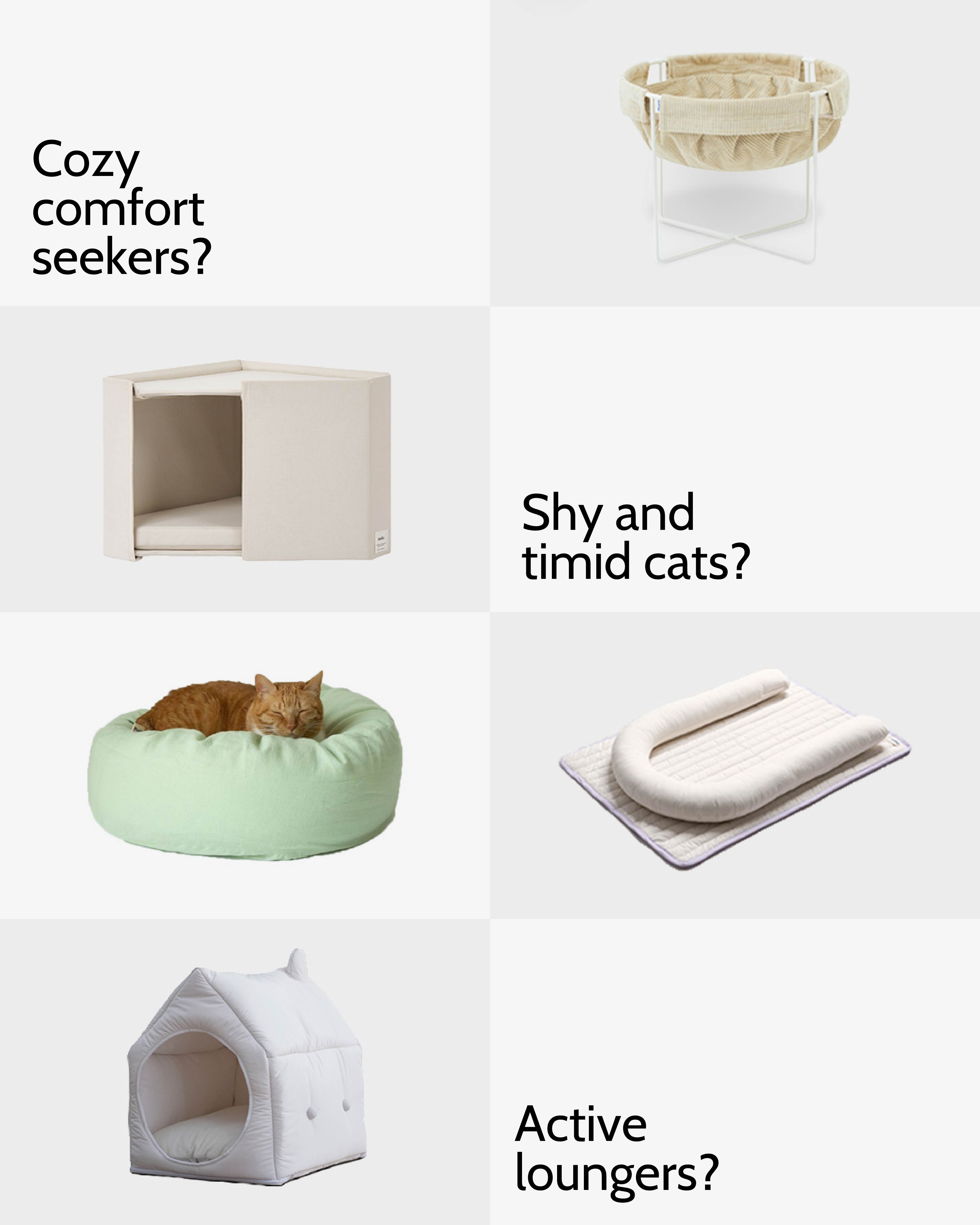 How to Find the Perfect Resting Space for Your Cat’s Personality