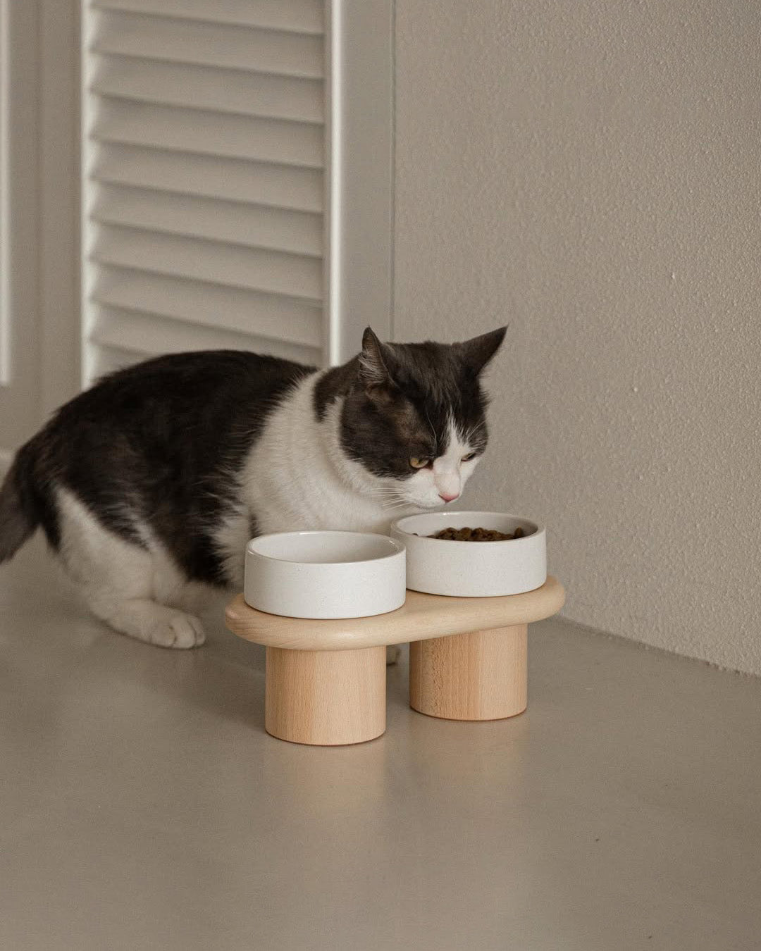 Summer Hydration Tips for Dogs: Why Elevated Bowls Make a Difference