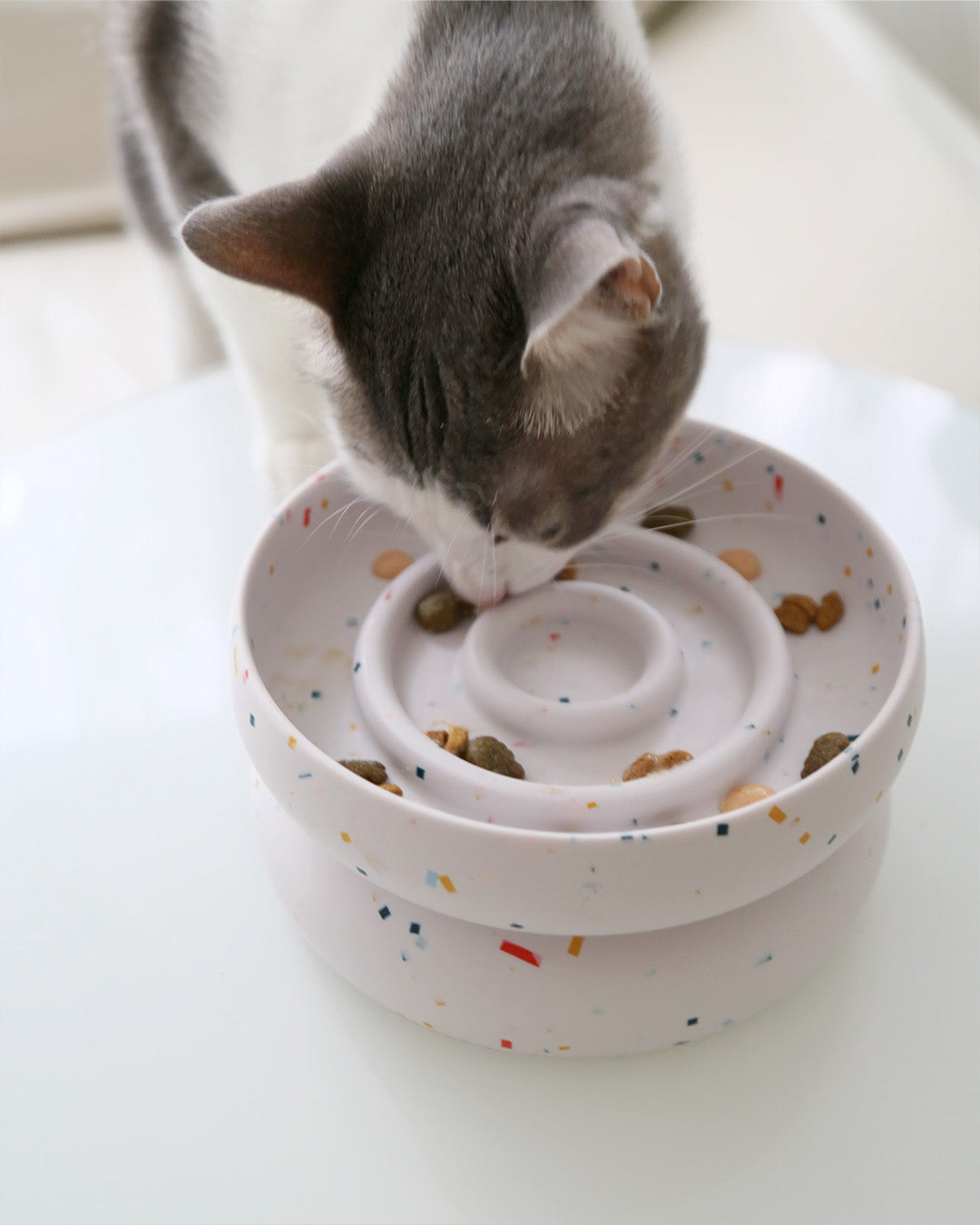 The Secret to a Cat's Healthier Digestion? It's in Their Bowl