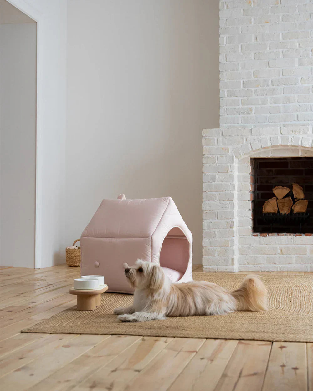 How to Stop Your Dog From Marking Indoors