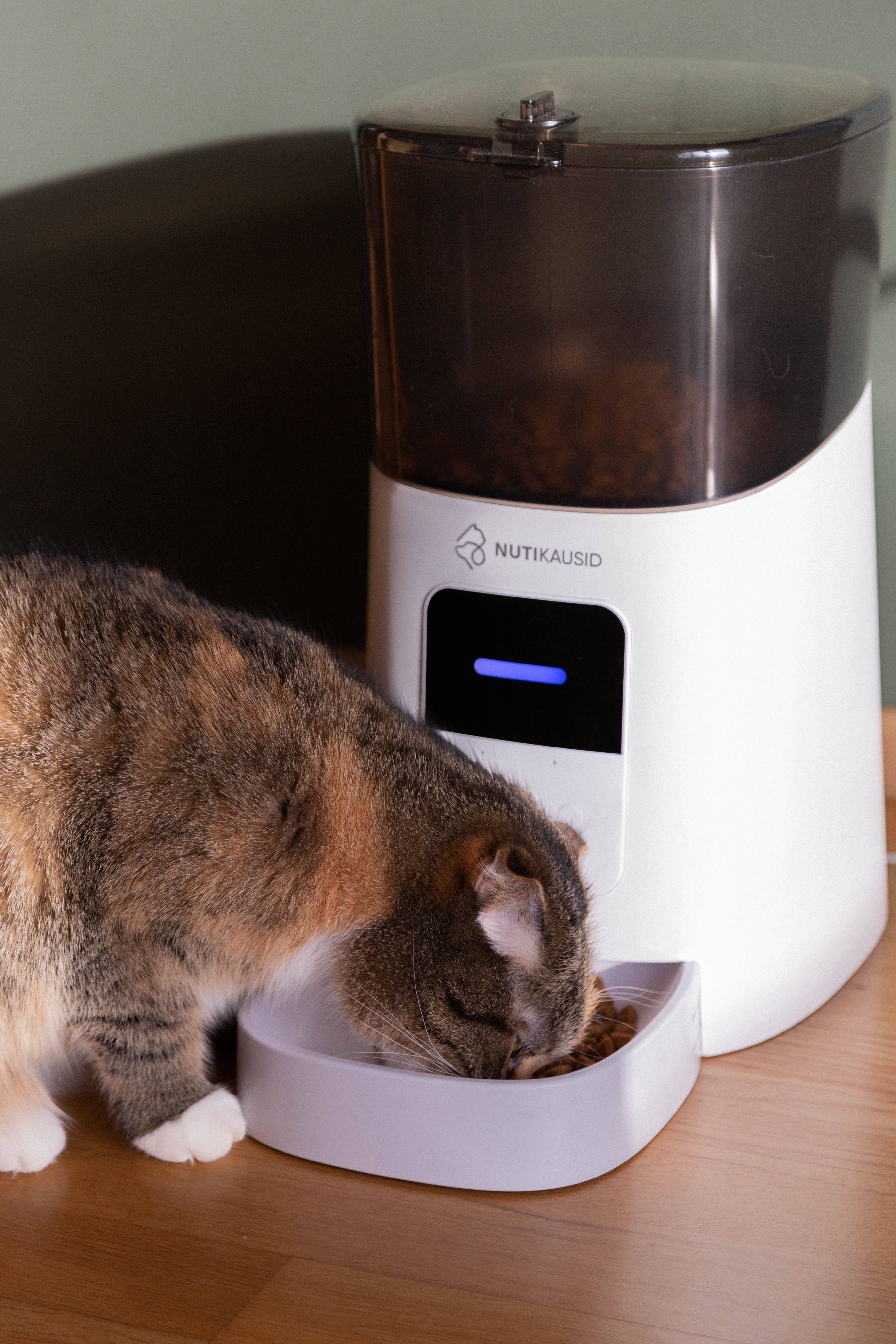 The Smart Pet Home: Devices That Make Life With Pets Easier