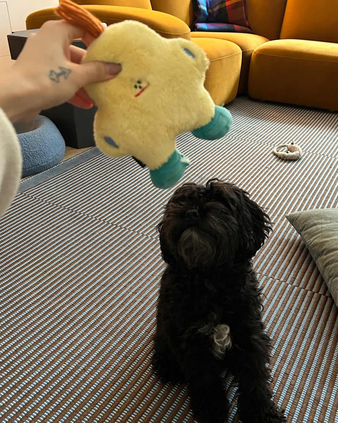 Are Squeaky Toys Good for Dogs? Here’s What You Should Know