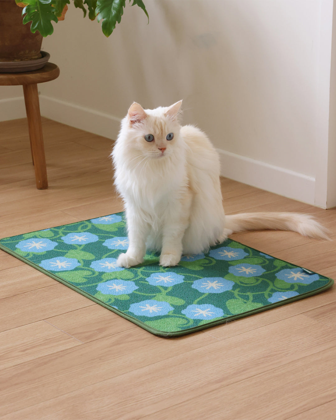 Art Poster Cat Scratcher Mat Blue Morning Glory | Preorder