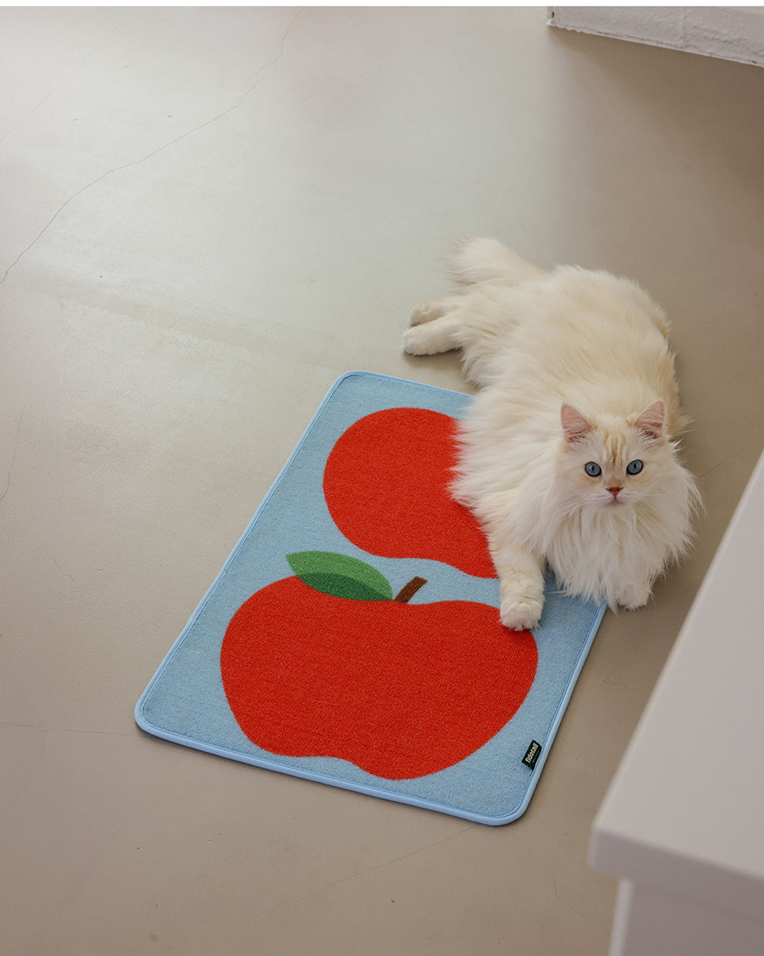 Art Poster Cat Scratcher Mat Red Apples | Preorder