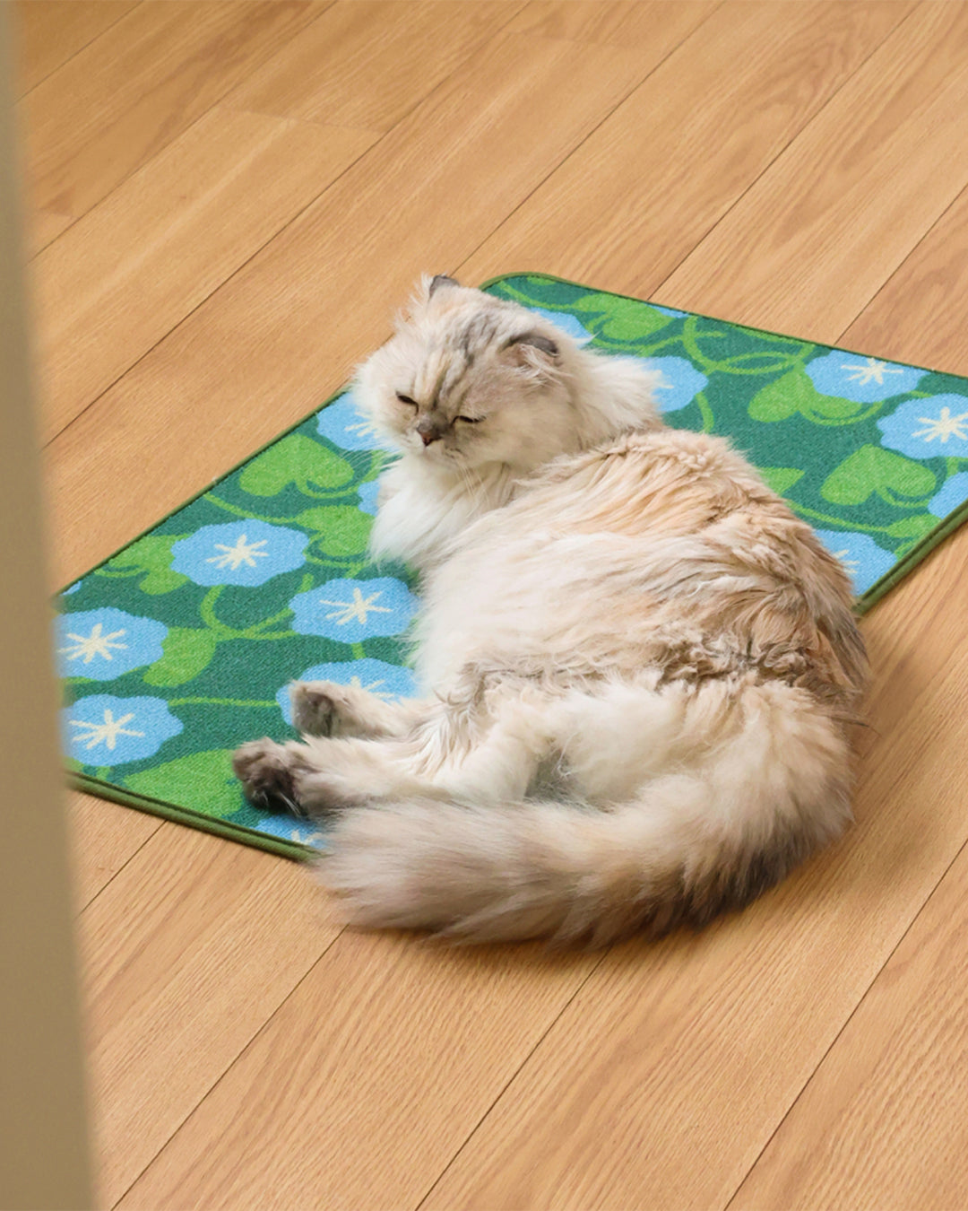 Art Poster Cat Scratcher Mat Blue Morning Glory | Preorder