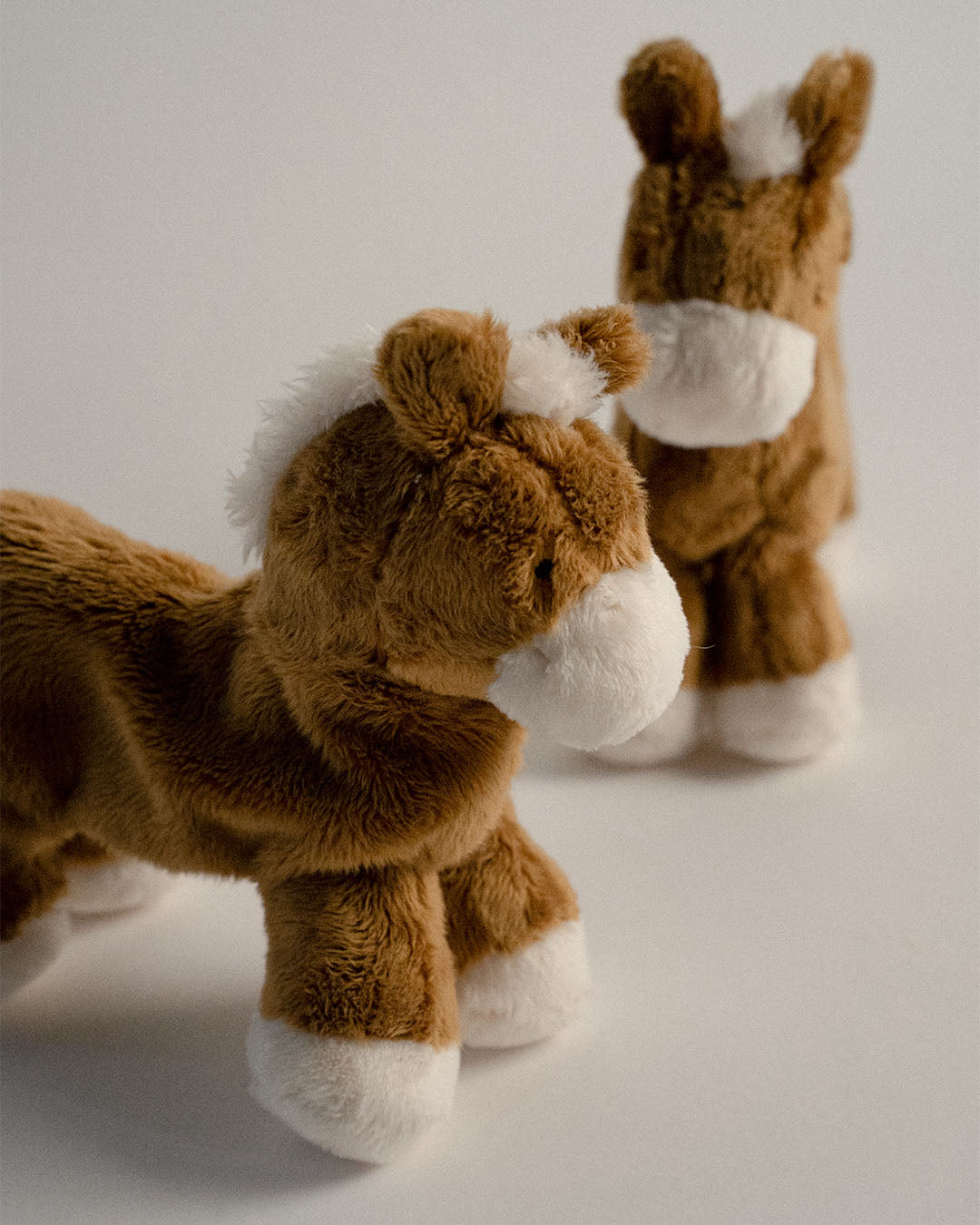 Buddy Pony
