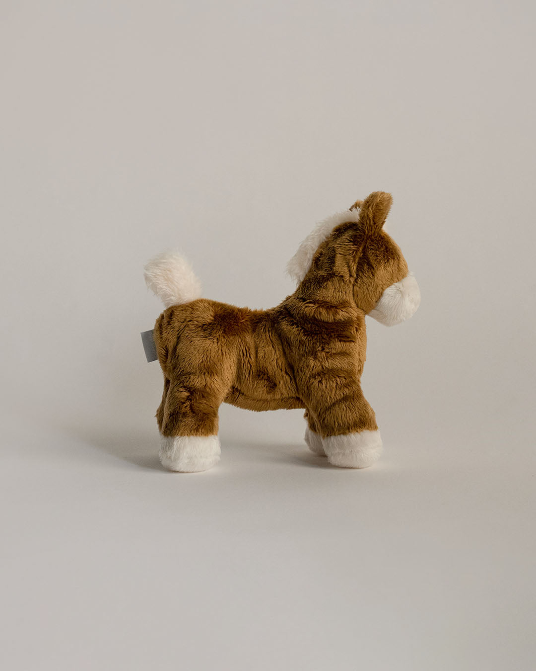 Buddy Pony