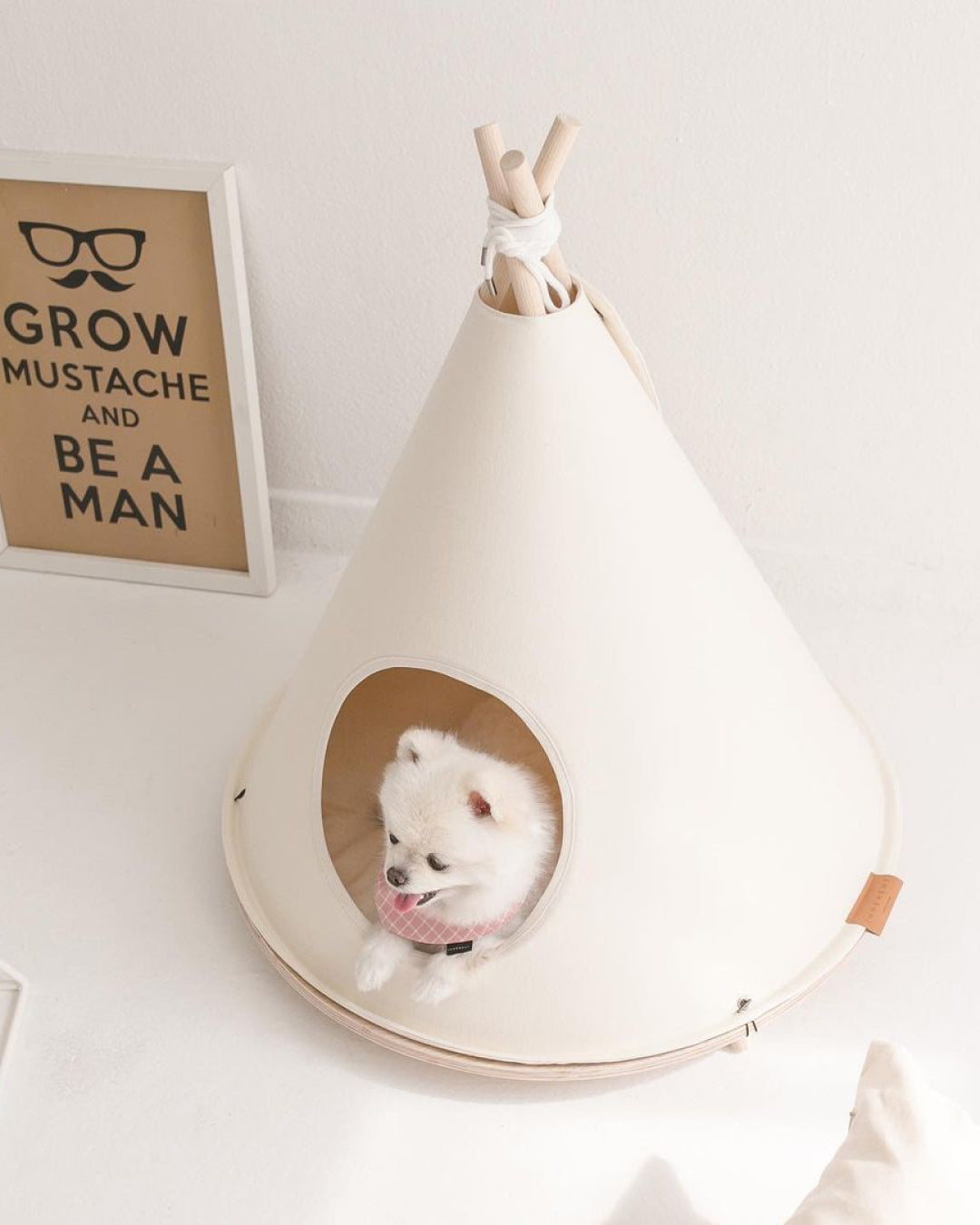 Choco Tent