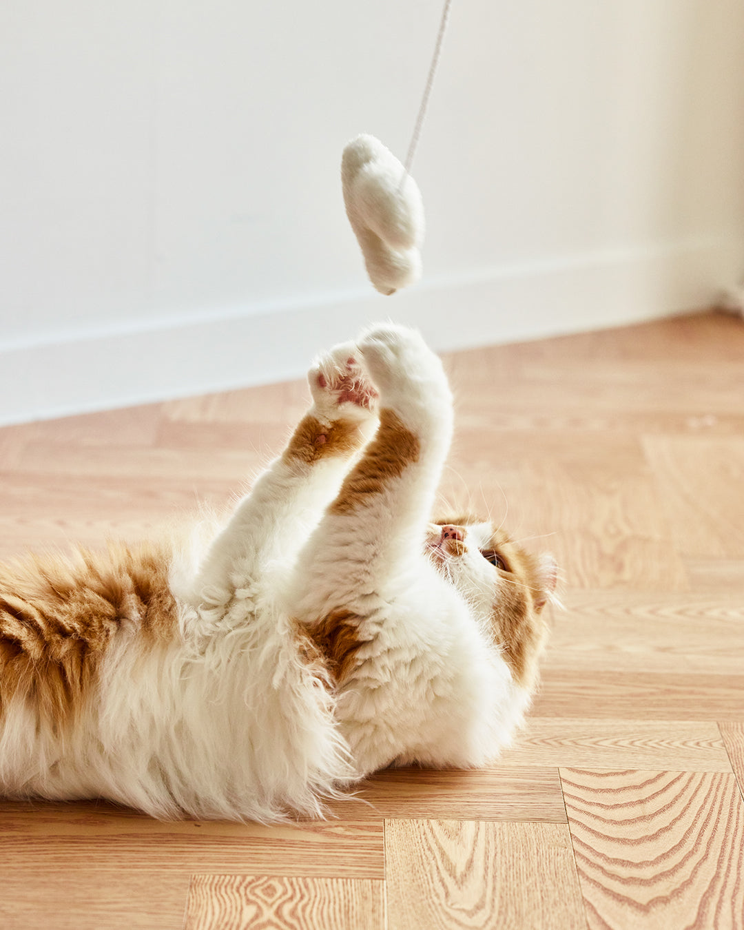 Magnetic Hanging Cat Toy