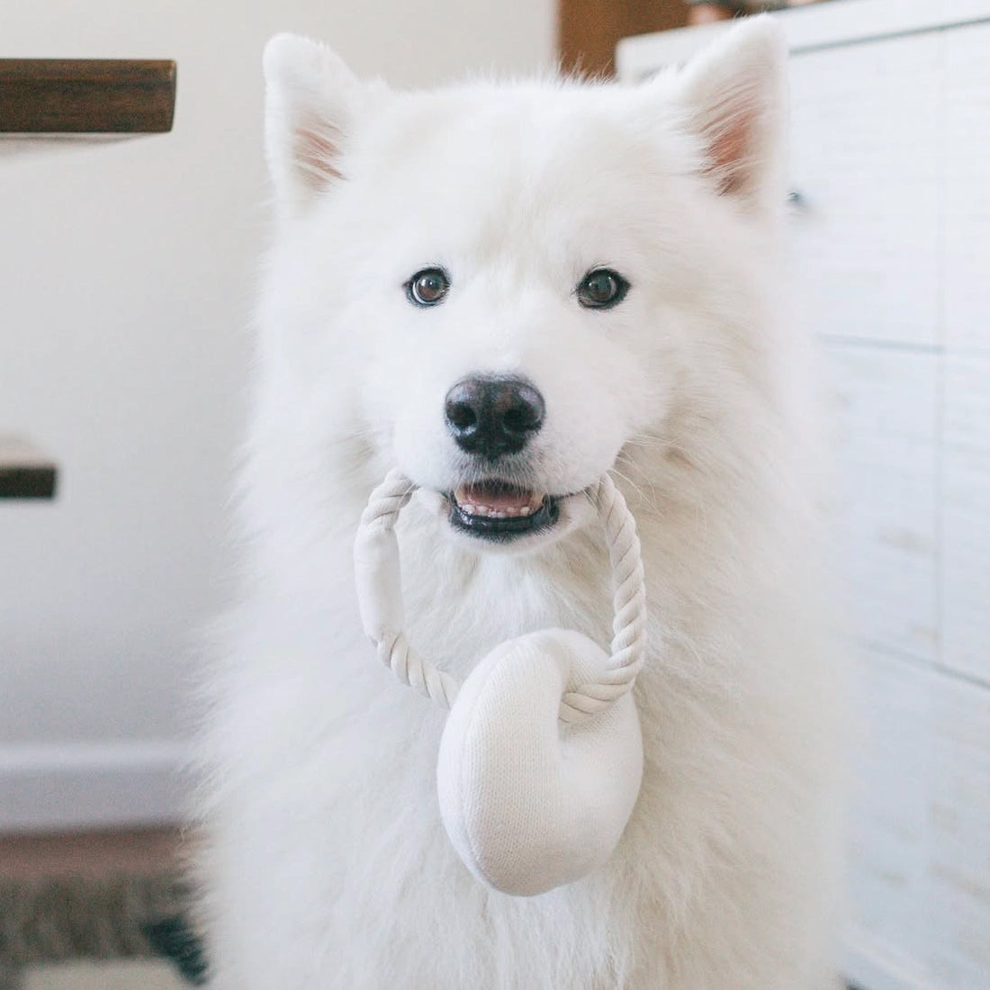 Croissant Plush Toy with Chew Rope