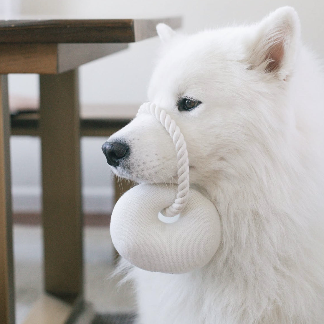 Croissant Plush Toy with Chew Rope