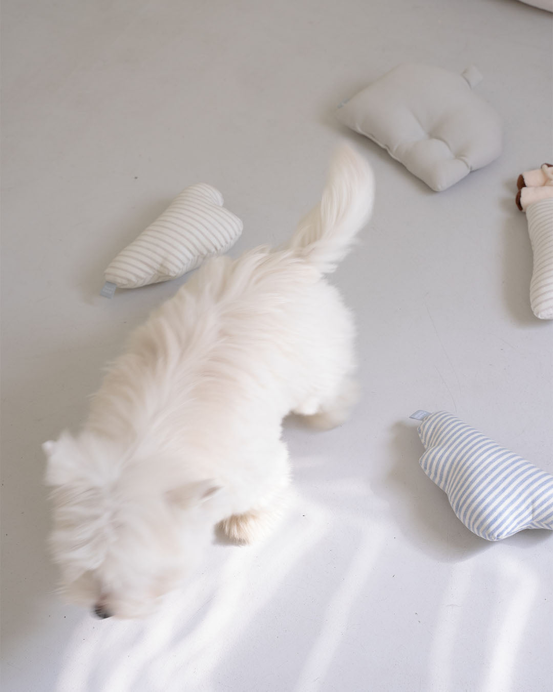 Soft House Cushion