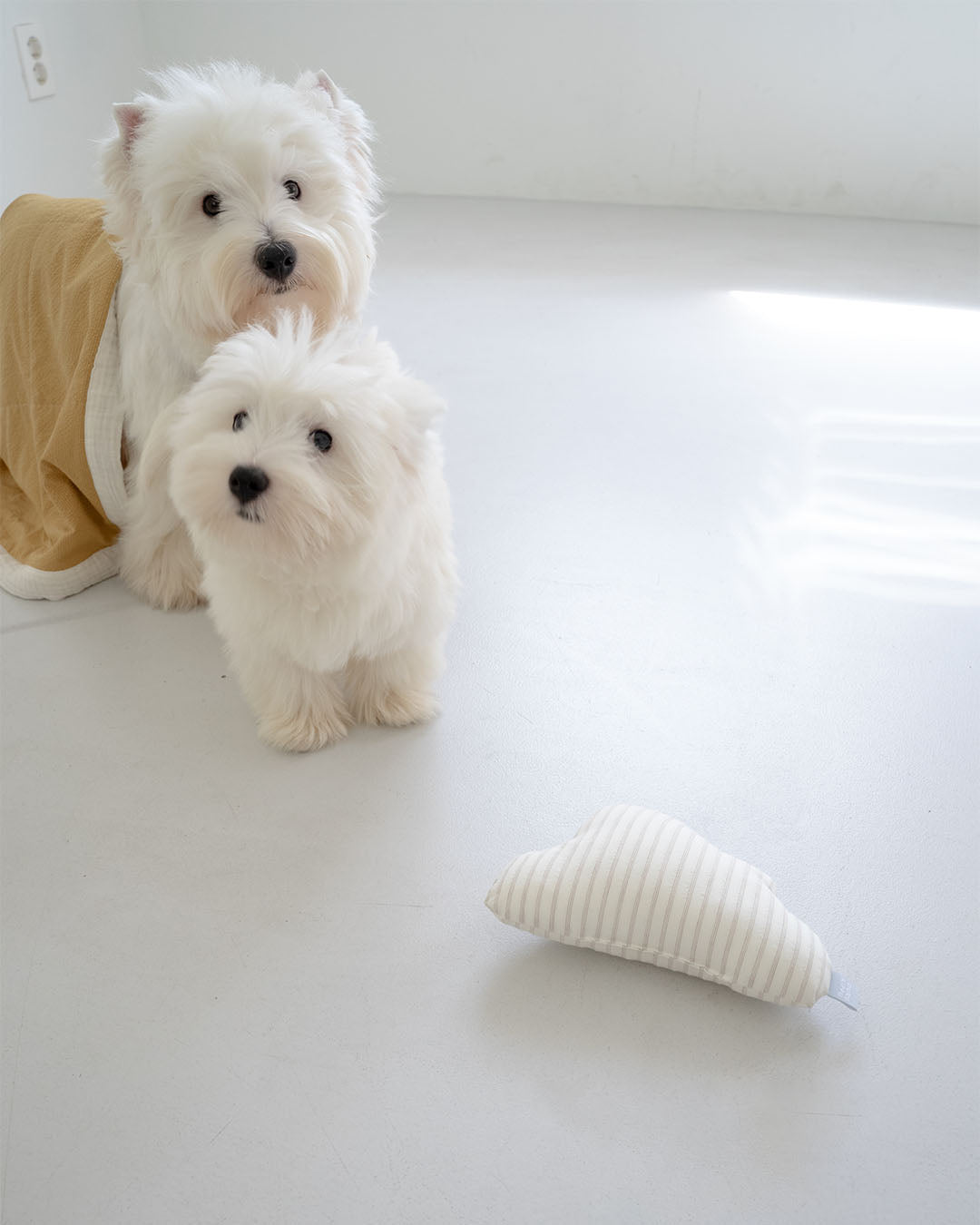 Stripe Cloud Cushion