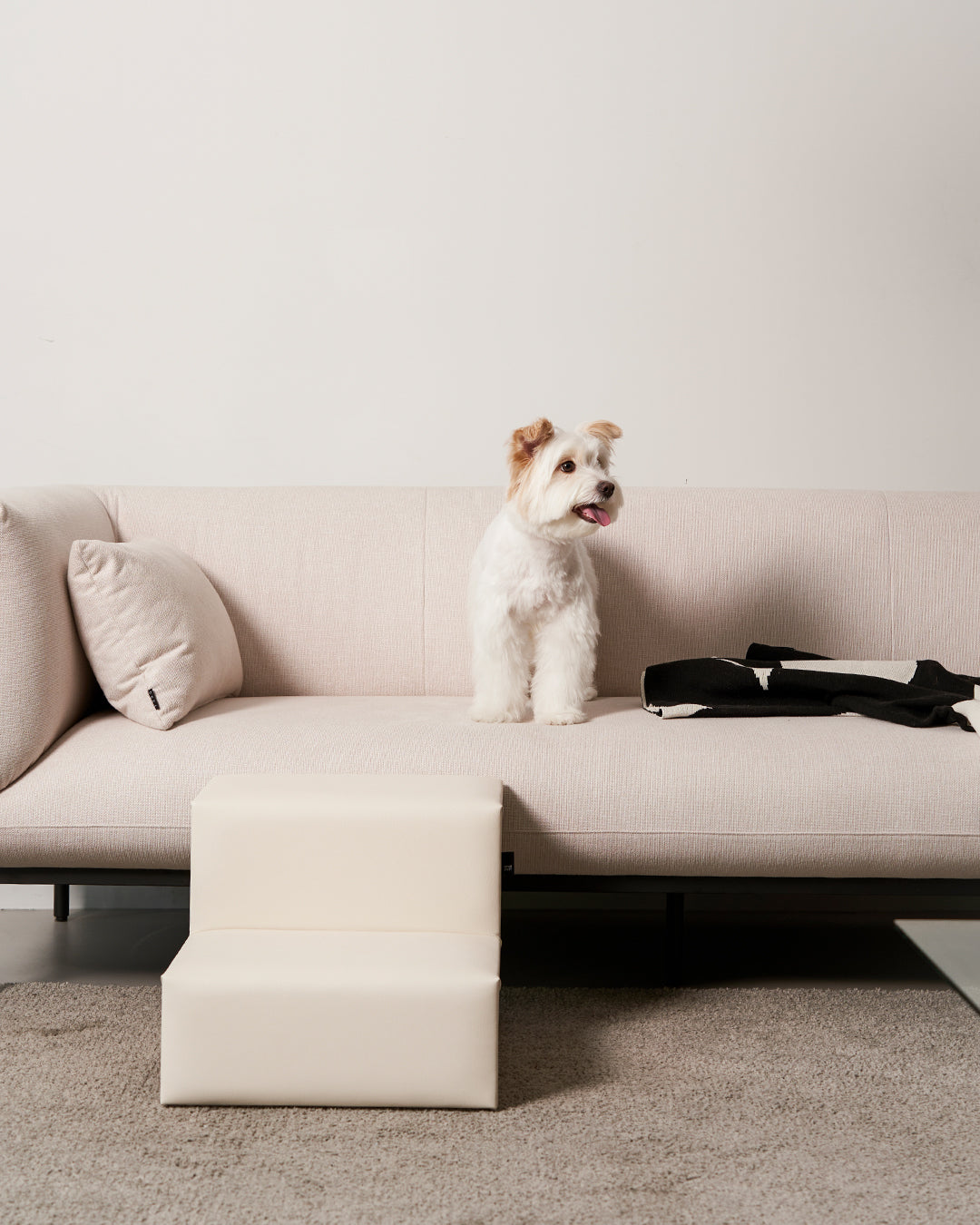 #Color_Vegan Leather Cream