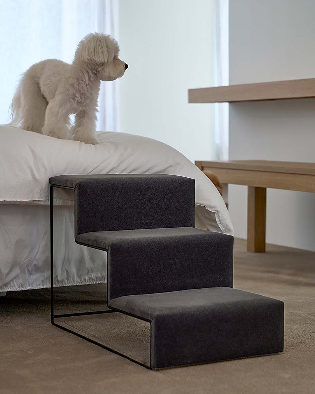 medium dog using dog stairs for easier access to furniture