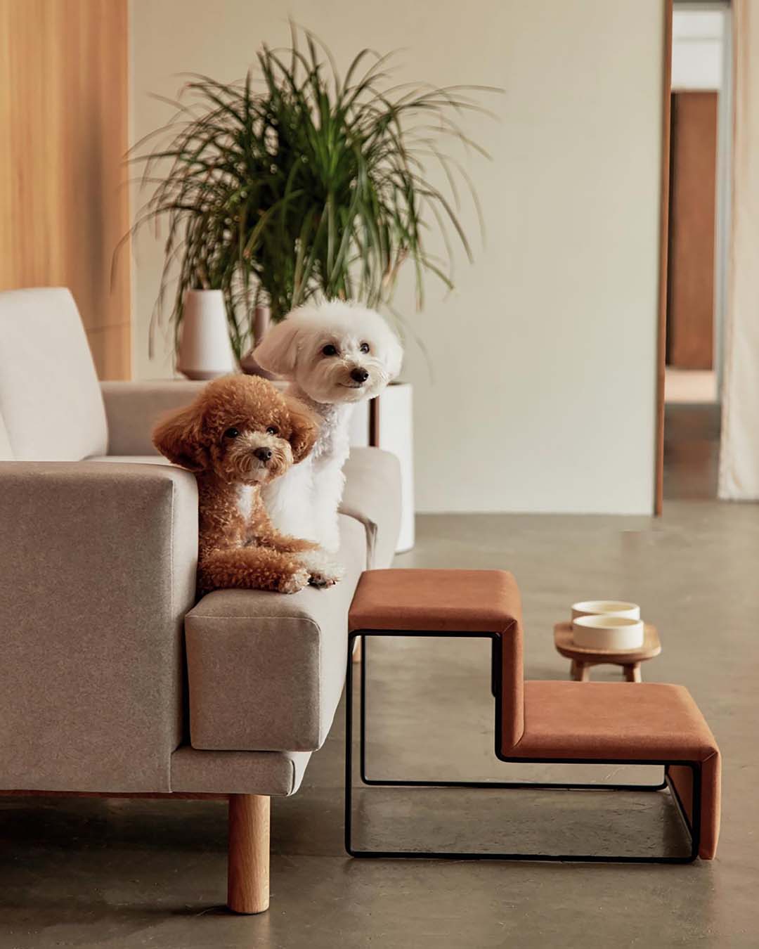 pet steps placed next to a sofa in a clean, minimal interior