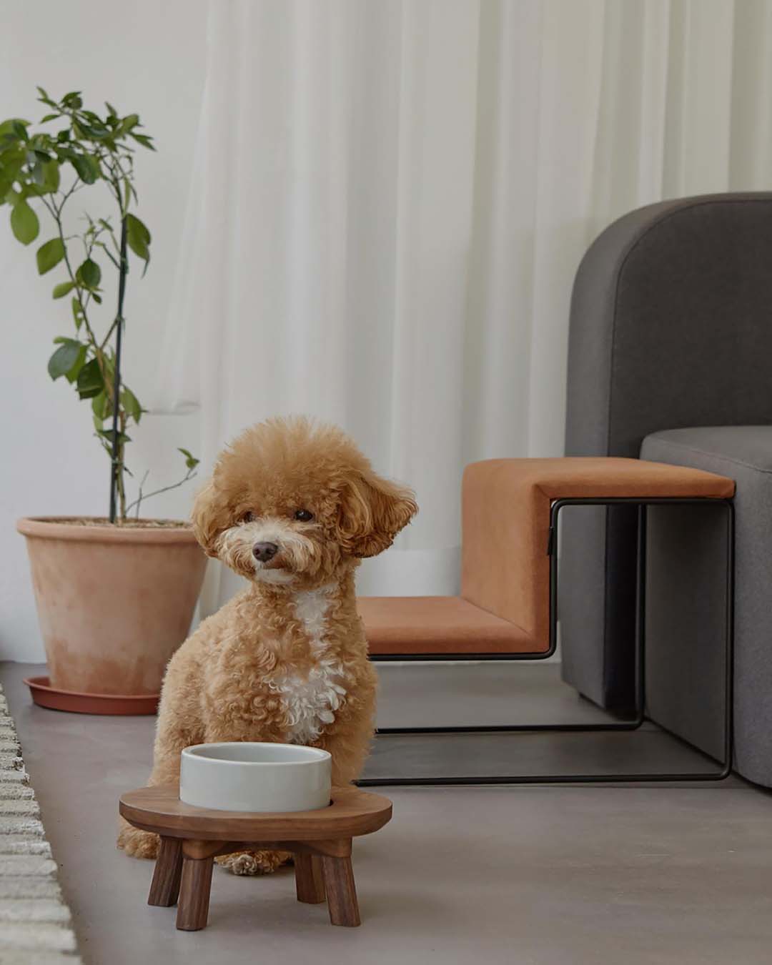 pet steps that function as both pet furniture and home decor