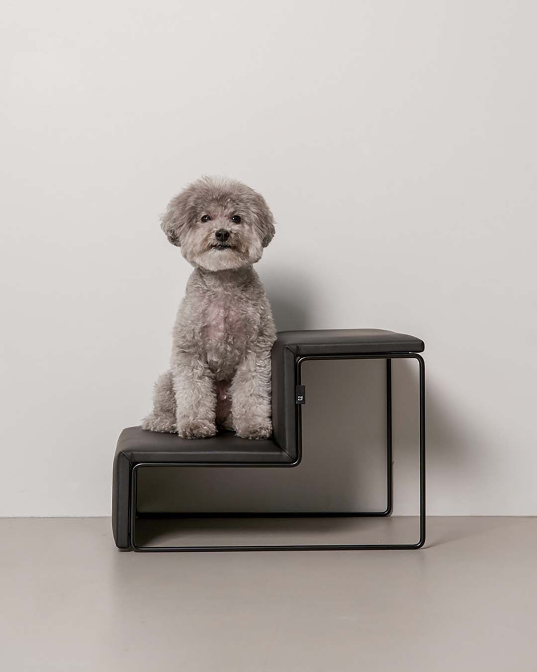 pet steps and dog stairs used for couch access