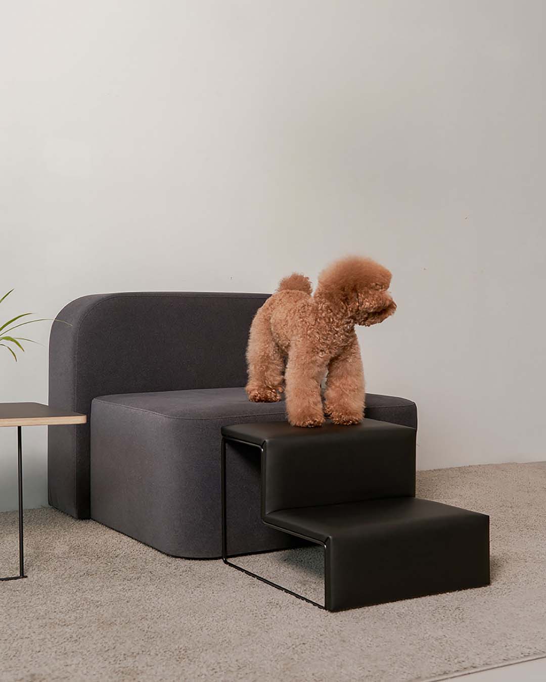 #Color_Vegan Leather Black