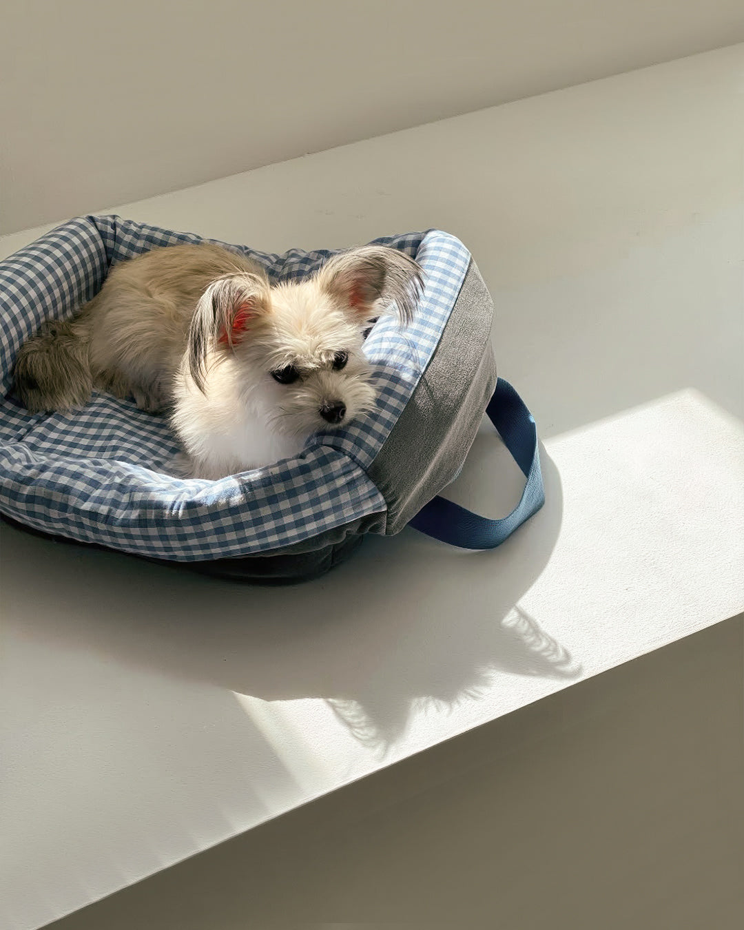 ECC Bag Blue Checker