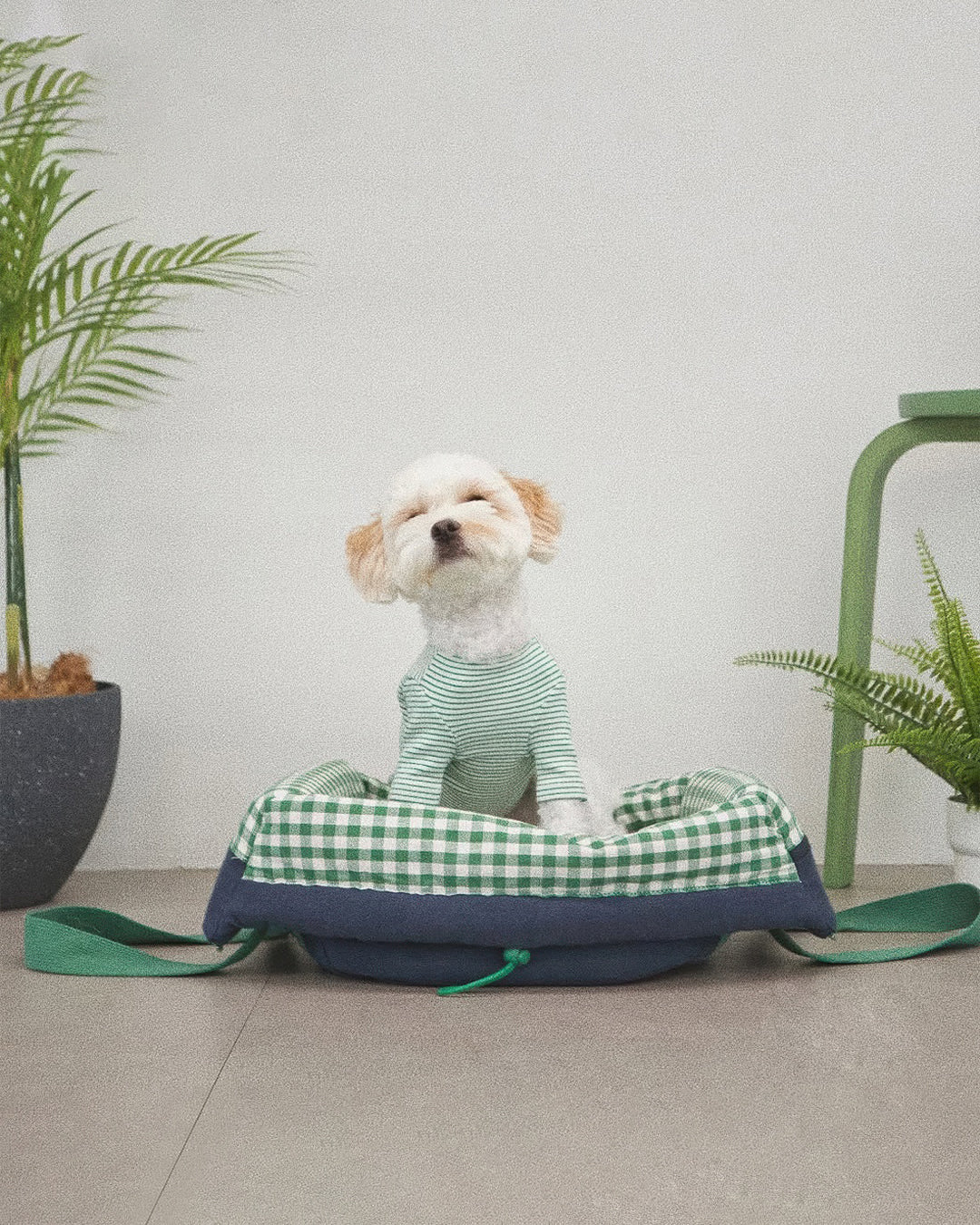 #Color_Green Checker