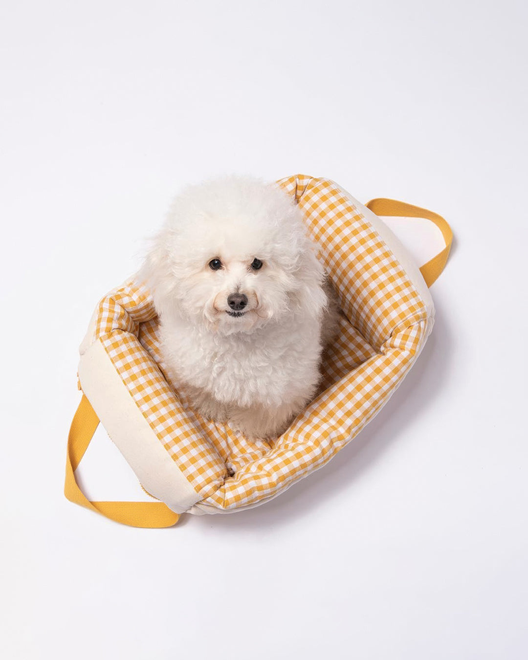 #Color_Yellow Checker