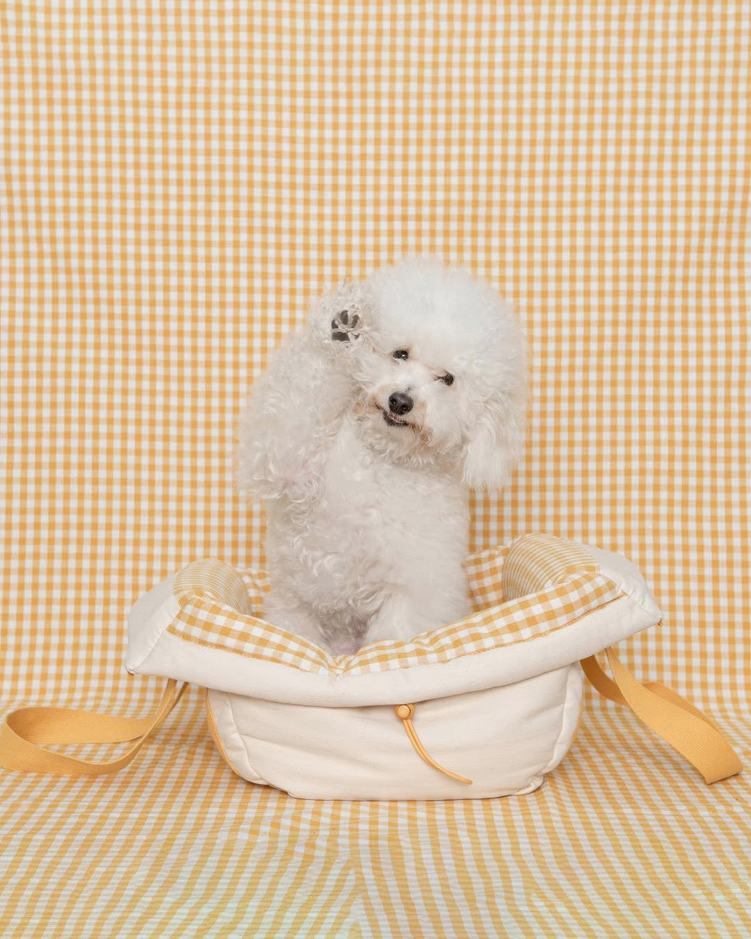 #Color_Yellow Checker