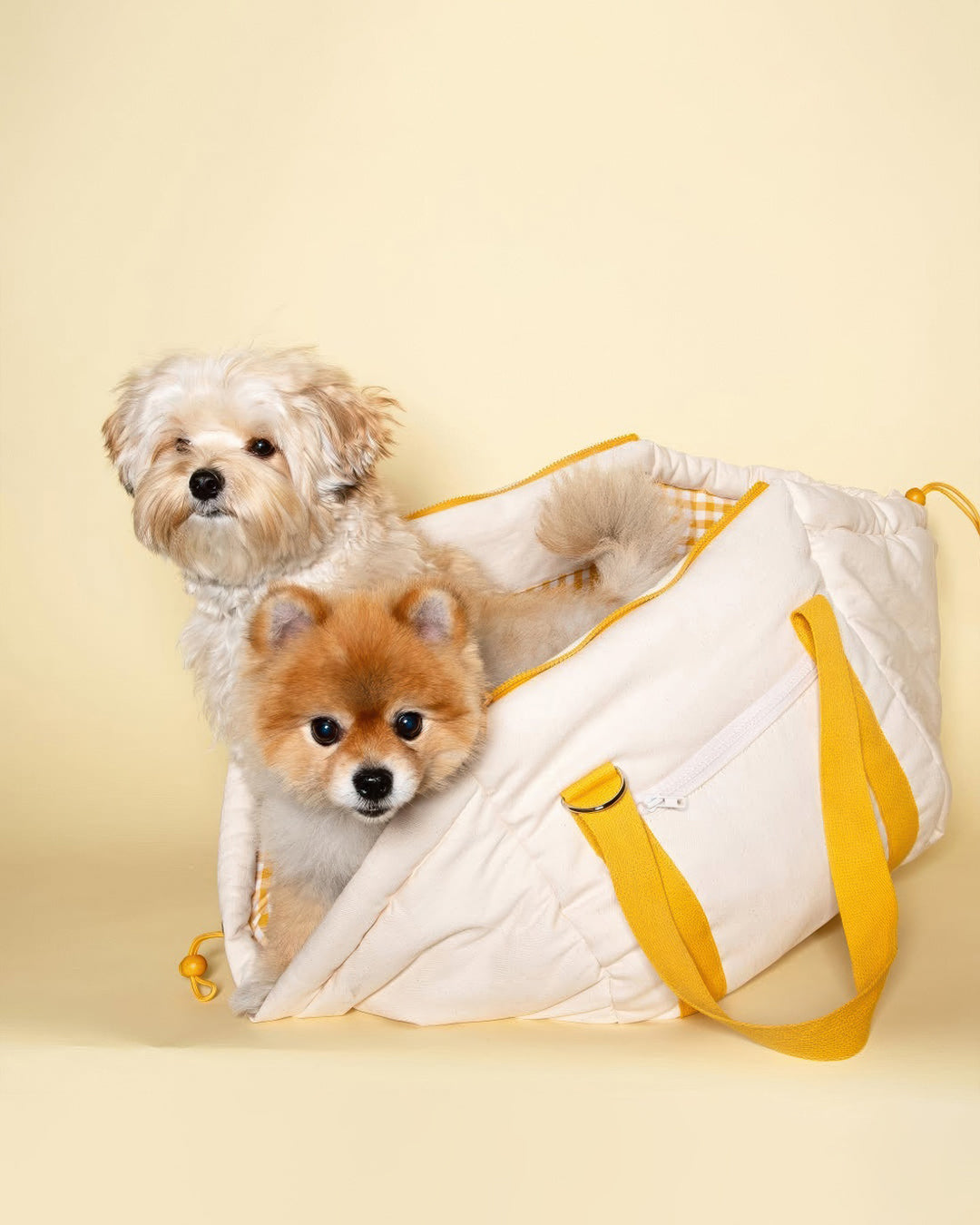 #Color_Yellow Checker