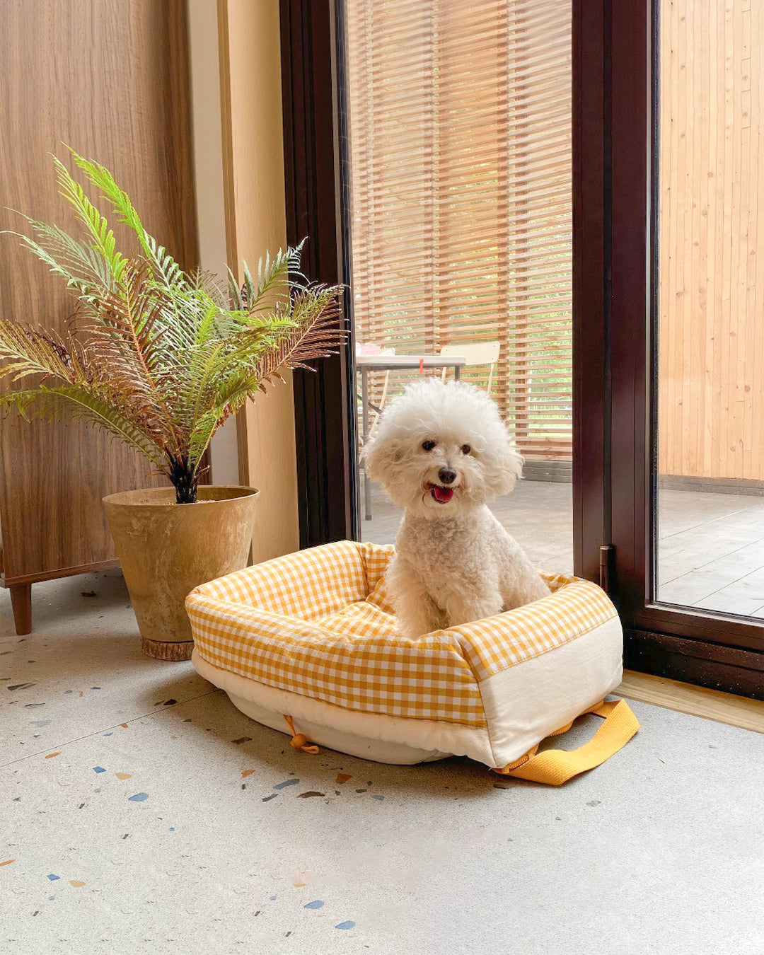 #Color_Yellow Checker