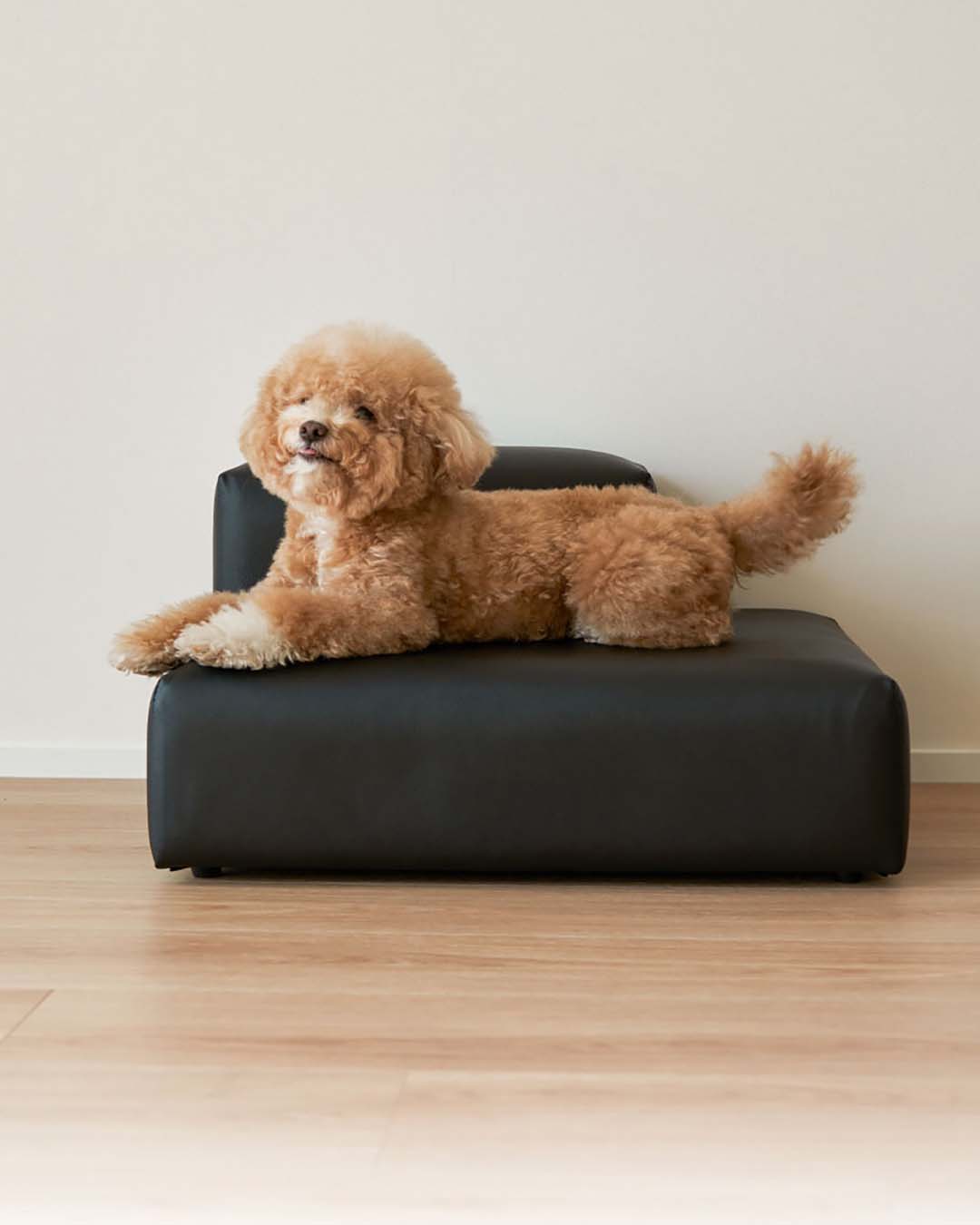 pet steps that function as both pet furniture and home decor