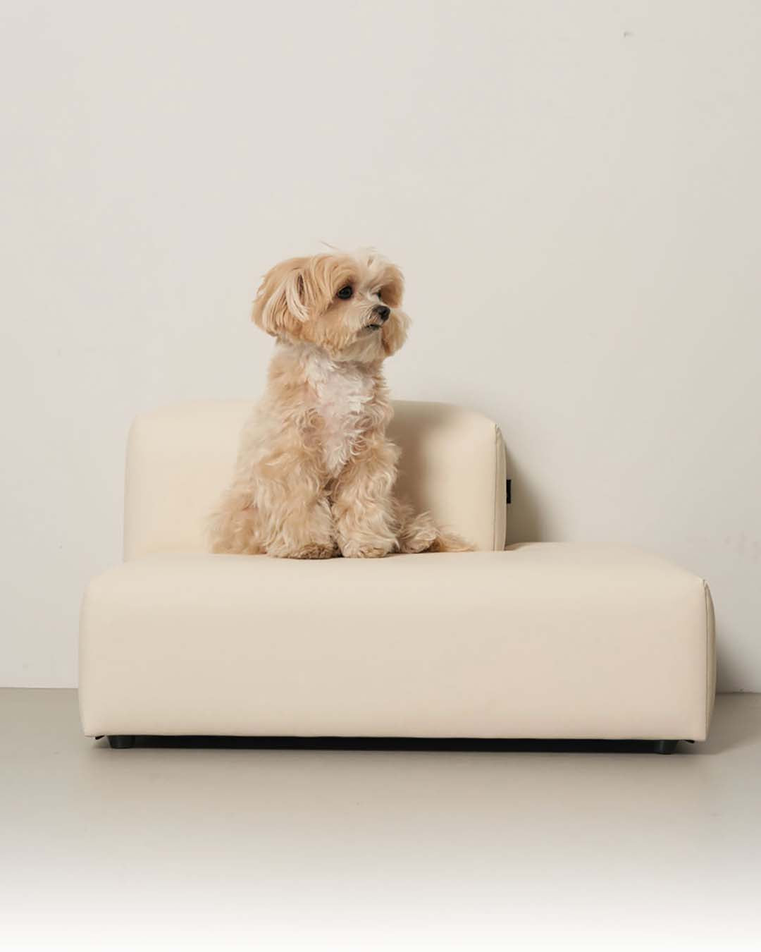 #color_Vegan Leather Cream