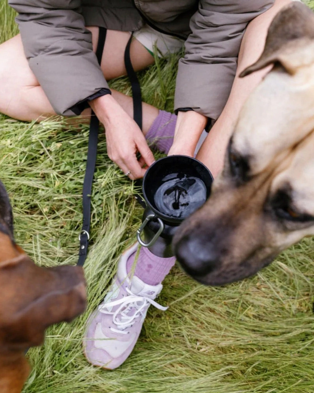 Flip Dog Travel Water Bottle Black