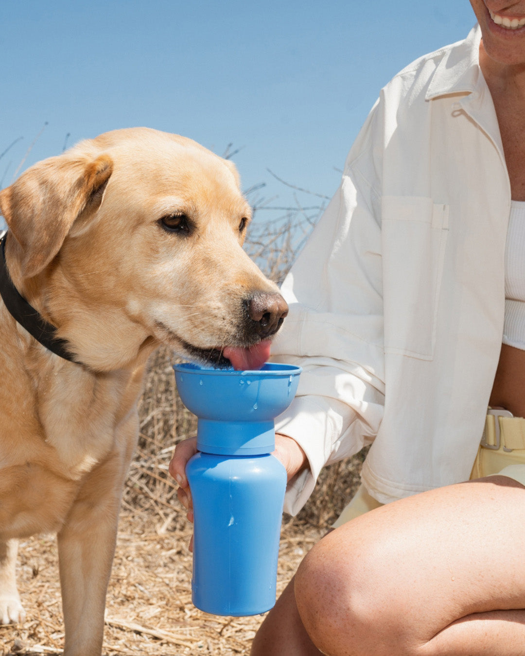 Dog drinking from a blue portable dog water bottle with built-in bowl for easy one-hand hydration on walks.