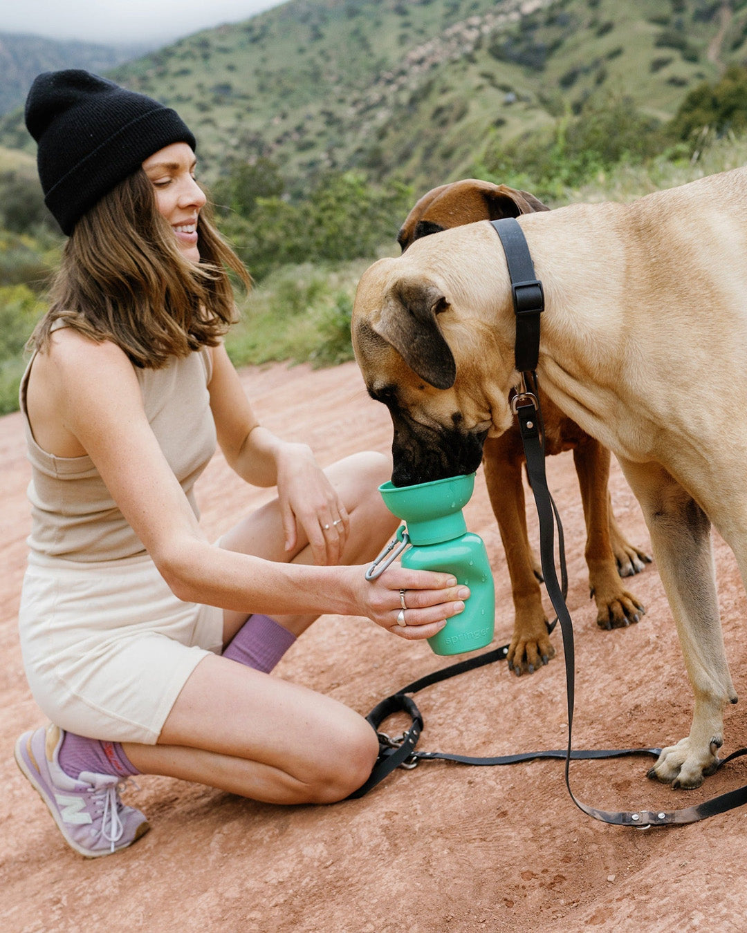Dog drinking from a green portable dog water bottle with built-in bowl for quick hydration on hikes and walks.