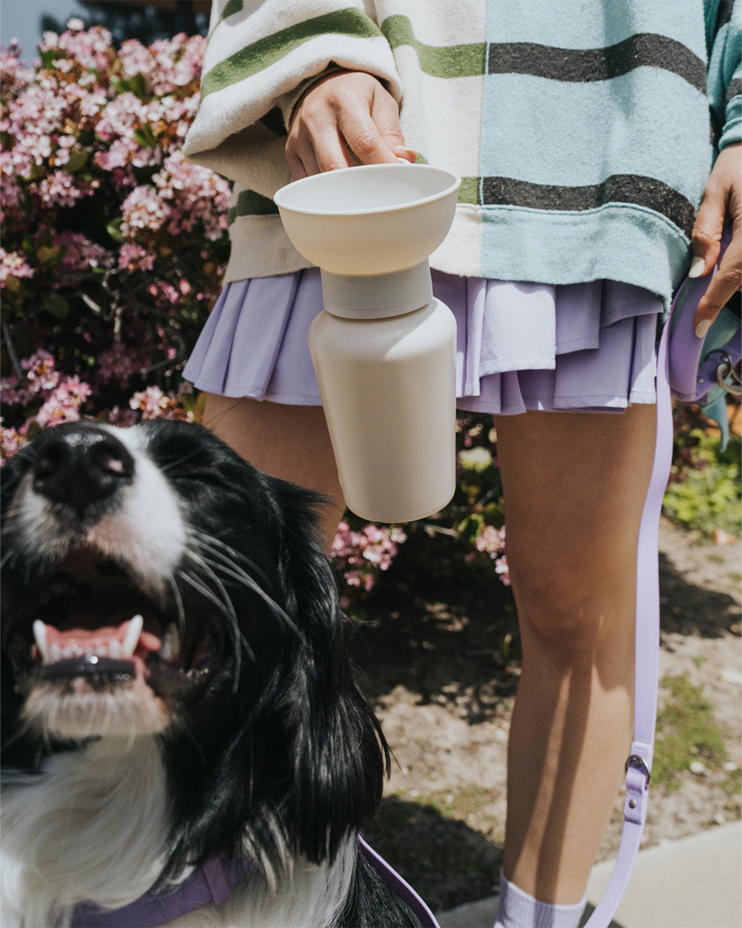 Person holding a portable dog travel water bottle with flip-up bowl while walking a dog outdoors, easy on-the-go hydration.