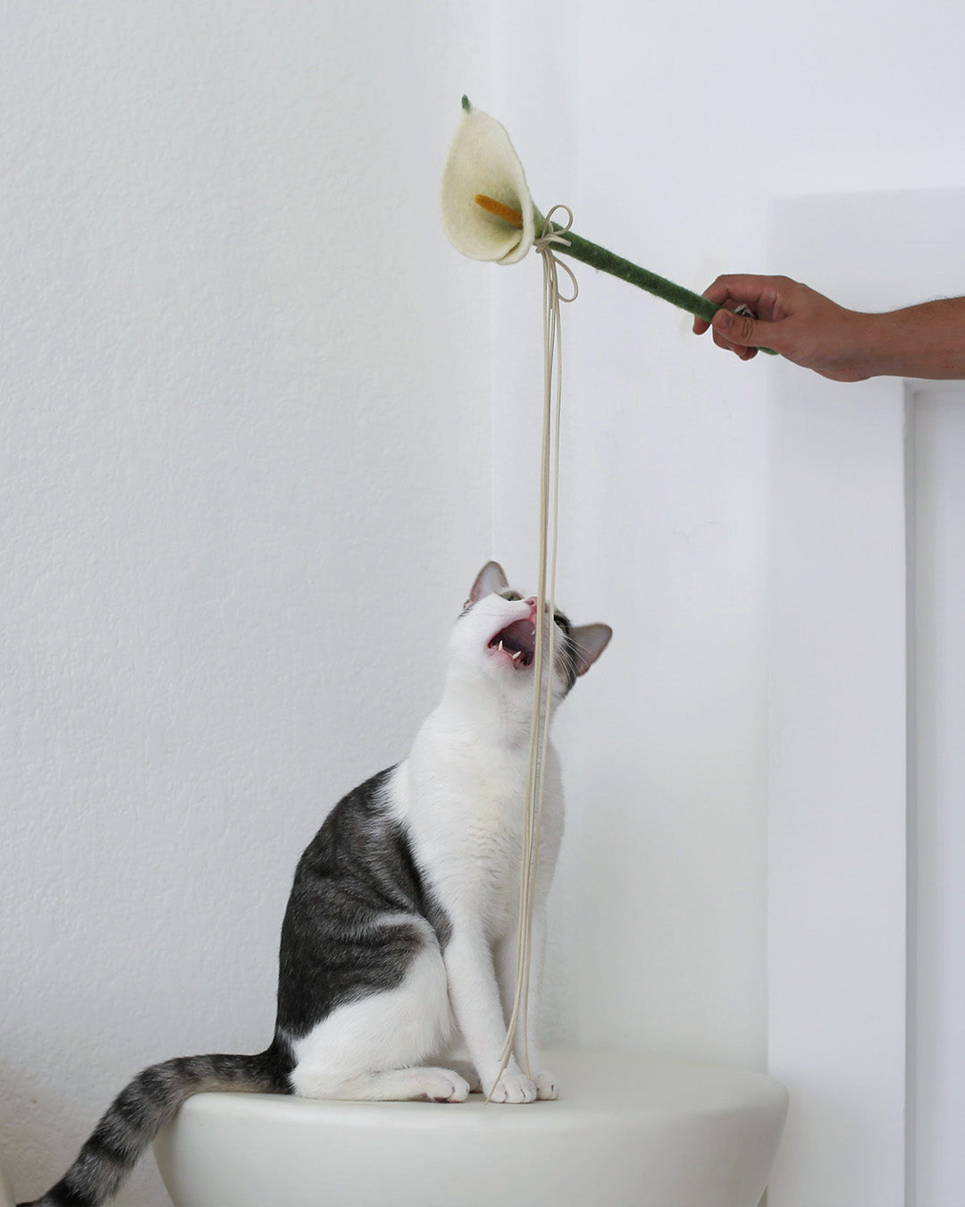 Flora Wand