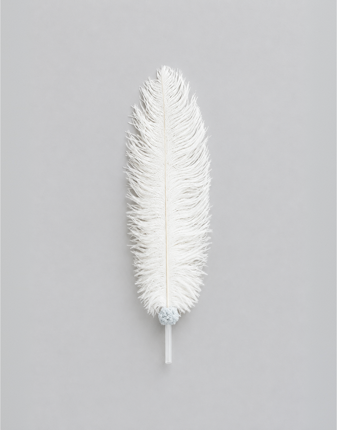 Natural Feather Cat Wand (3 Feathers)