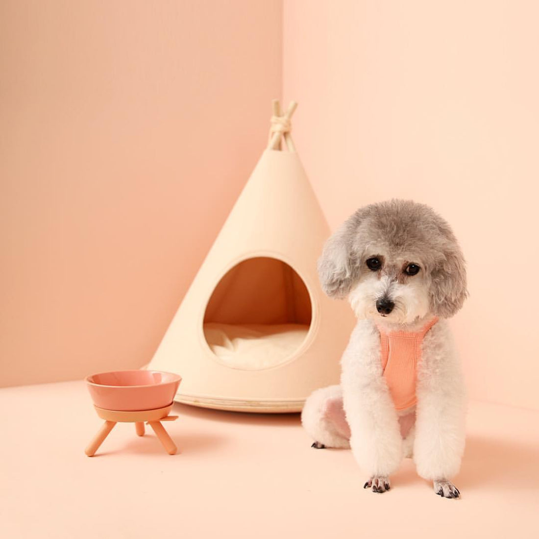 #color_Pink