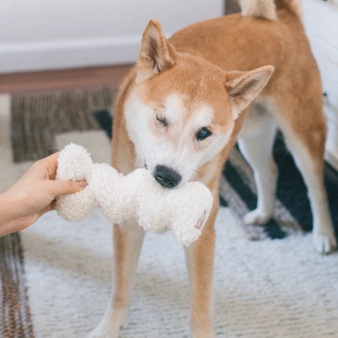 Original Squiggle Plush Toy with Crinkle