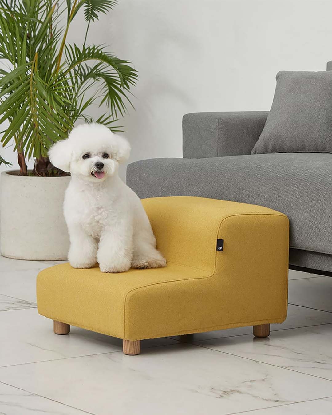 #color_Mustard