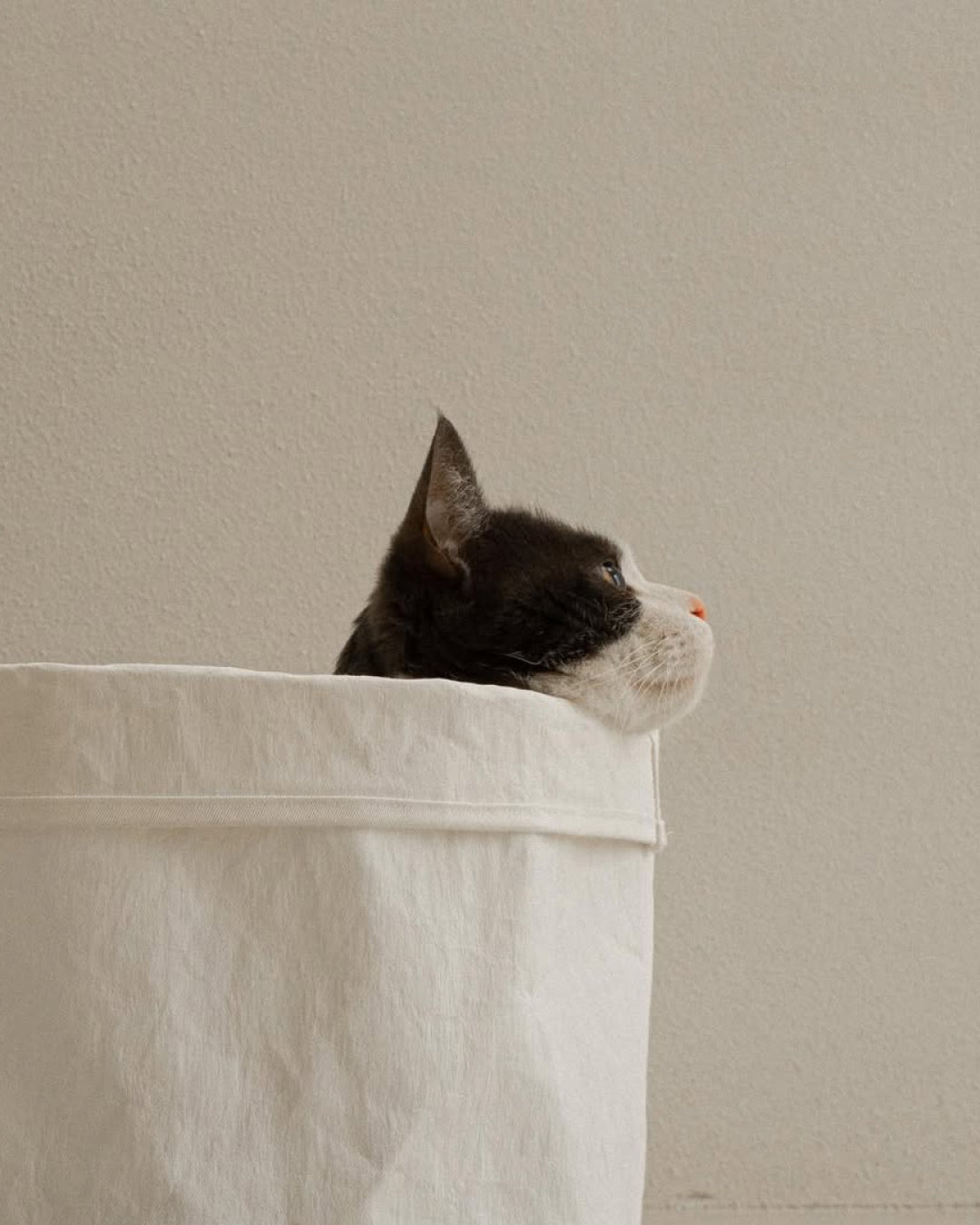 Sleep Bag