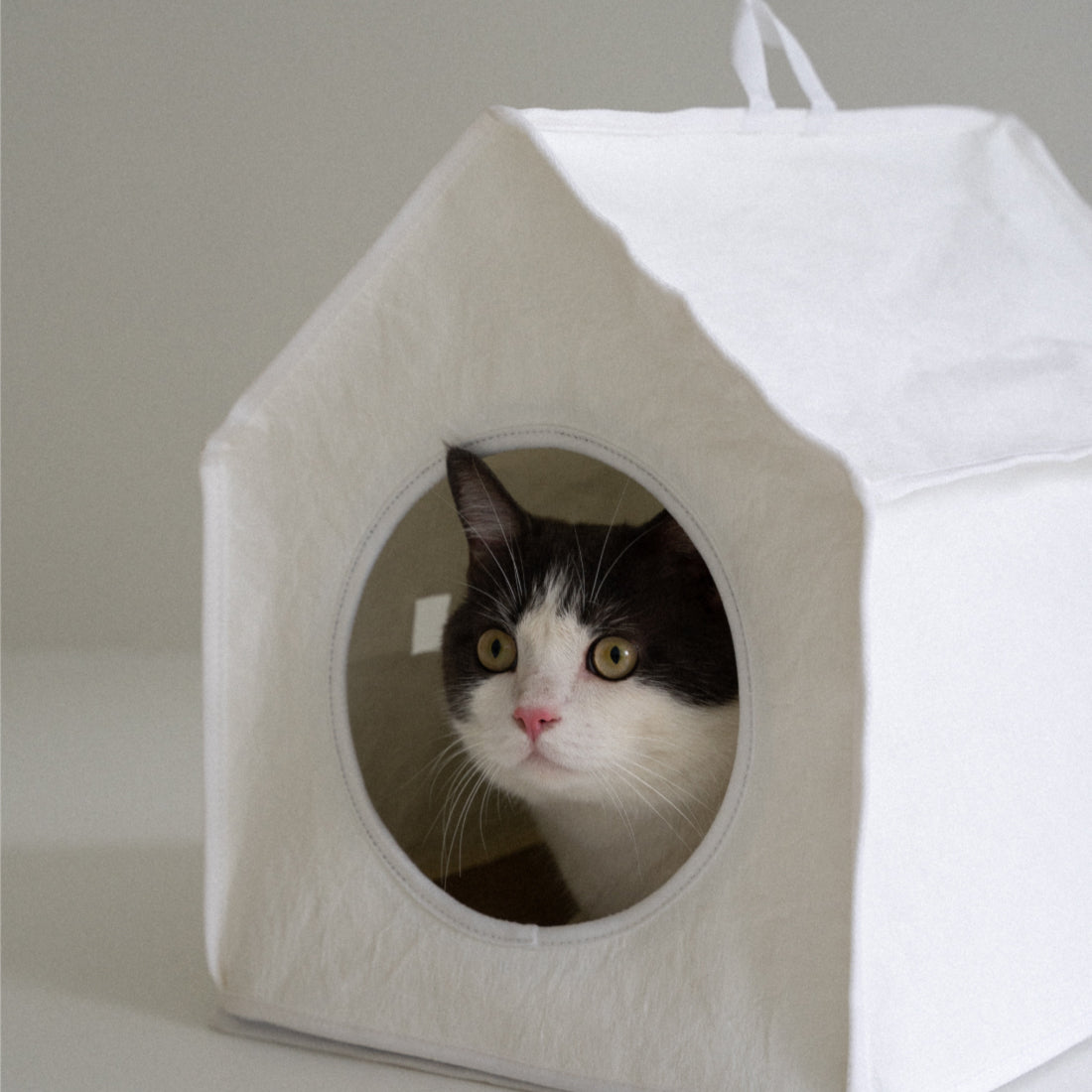Sleep House