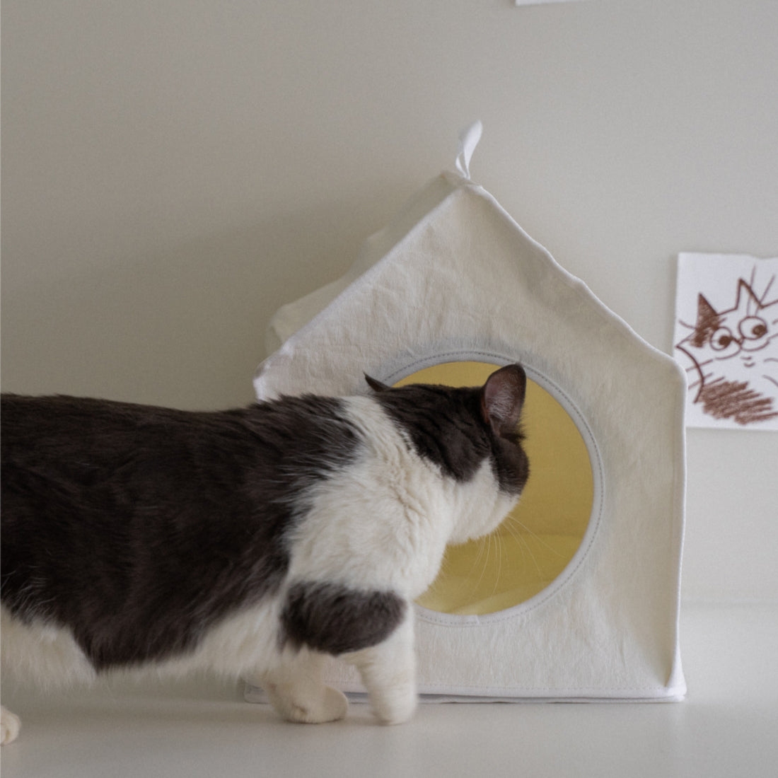 Sleep House