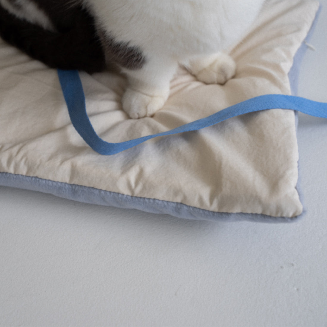 #cushion_Sky Blue + Beige
