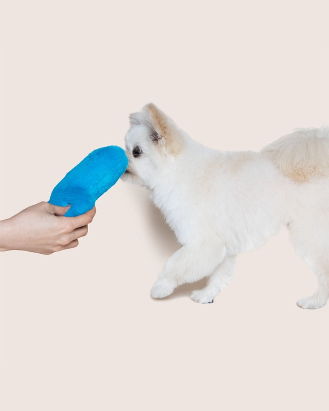 Squeaker Toy - Minty