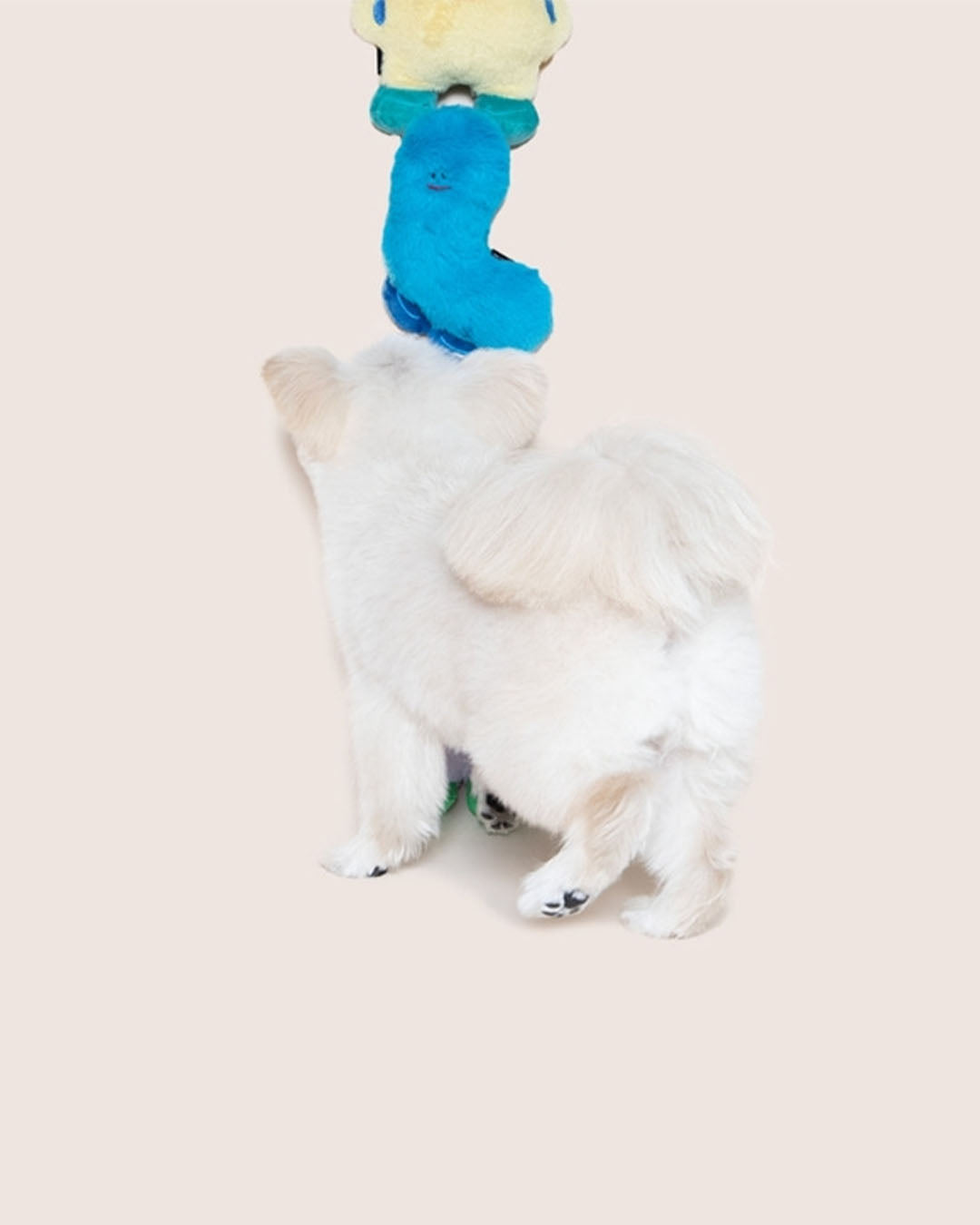 Squeaker Toy - Minty