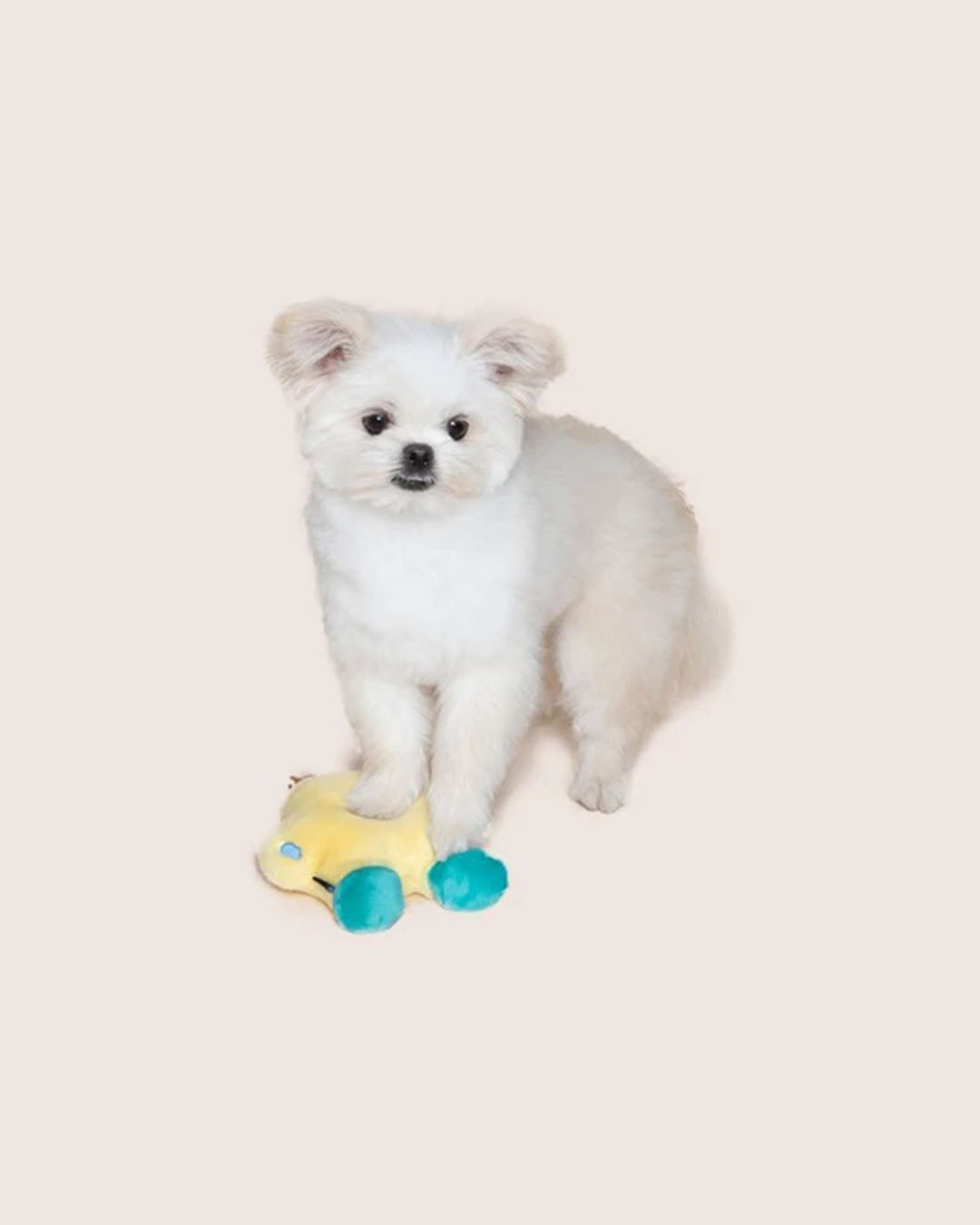 Squeaker Toy - Petrichor