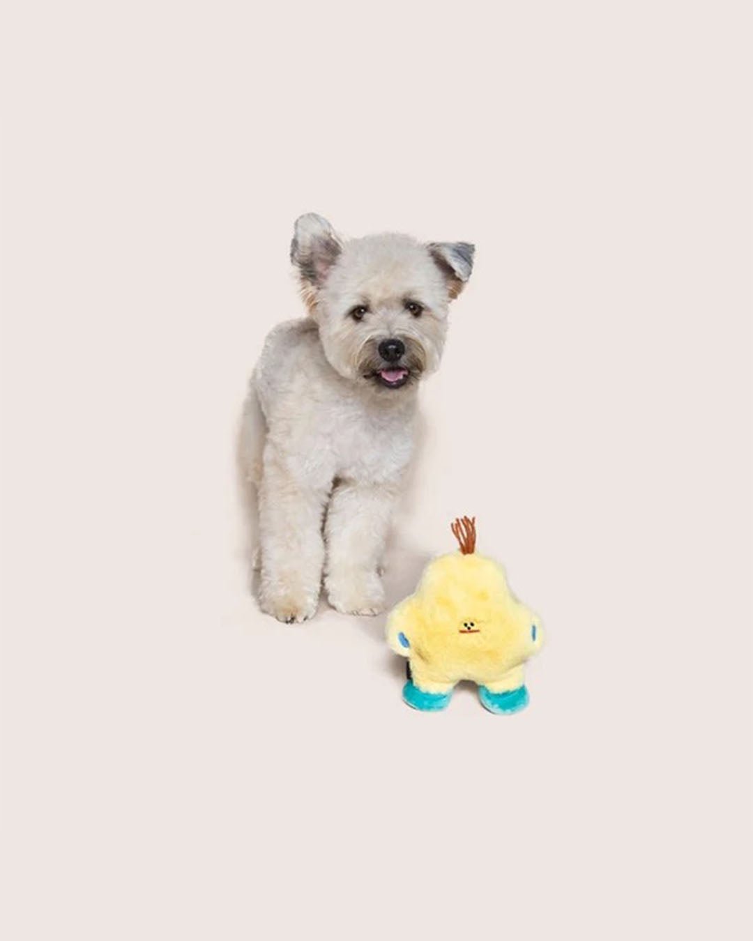 Squeaker Toy - Petrichor